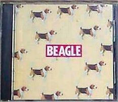 beagle