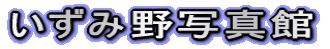 ݖʐ^
