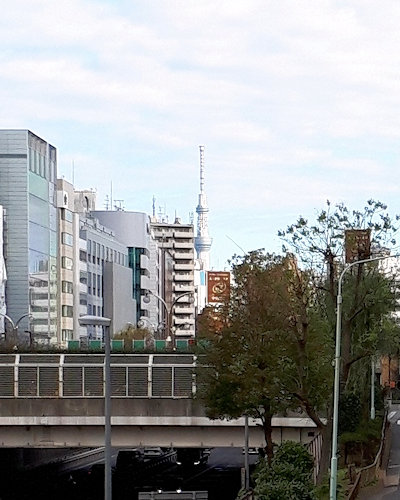 新橋演舞場裏からのスカイツリー