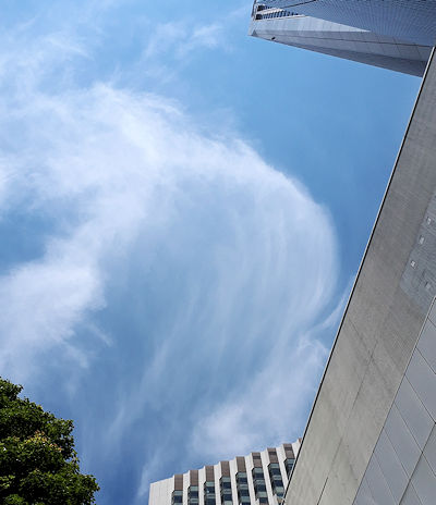 梅雨明けか？