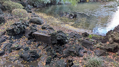 新宿御苑の水源?