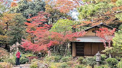 庭園の紅葉