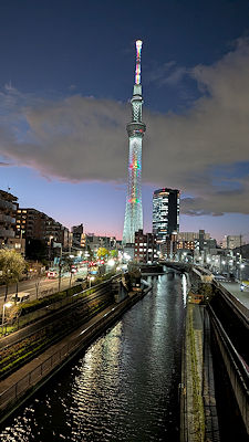 逆さスカイツリー