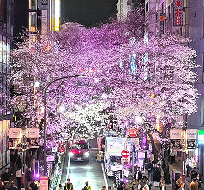 渋谷の桜坂の夜