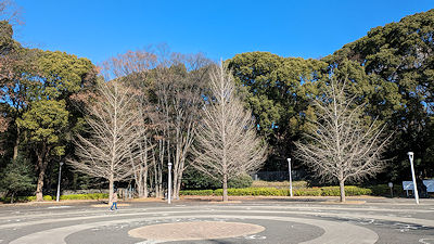 2024年1月5日(金)