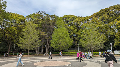 2024年4月13日(土)