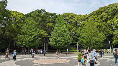 2024年4月21日(日)