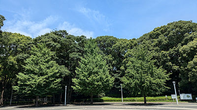 2024年7月27日(土)