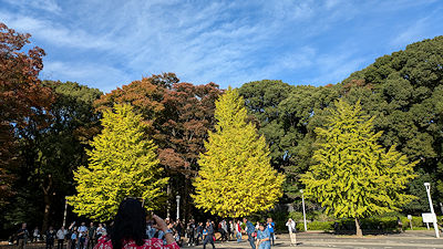 2024年11月17日(日)