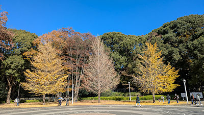 2024年12月6日(金)