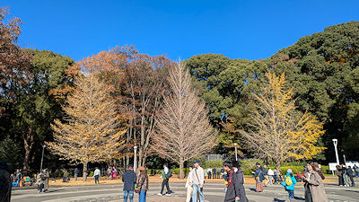 2024年12月8日(日)