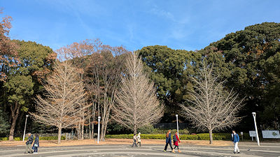 2024年12月20日(金)