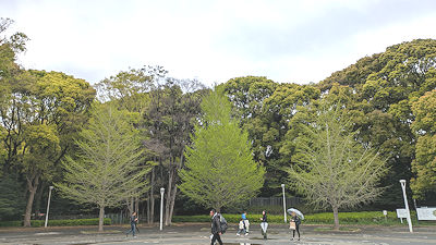2025年4月13日(日)