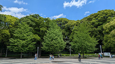 2025年4月29日(火)