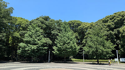 2025年6月17日(火)