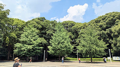 2025年6月27日(金)