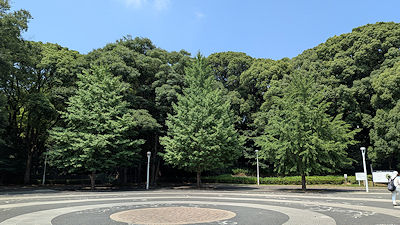 2025年7月9日(水)