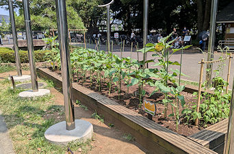 2025年7月9日(水)