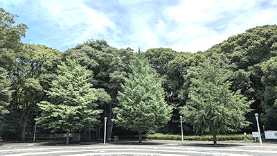 2025年7月18日(金)