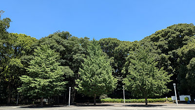 2025年7月26日(土)