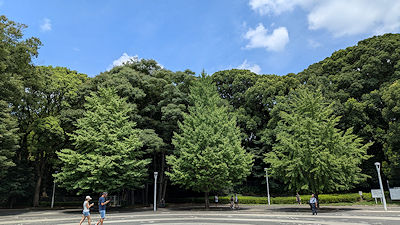 2025年8月17日(日)