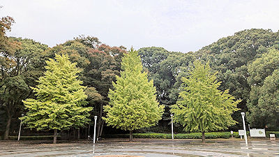 2025年10月31日(金)