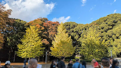 2025年11月10日(月)