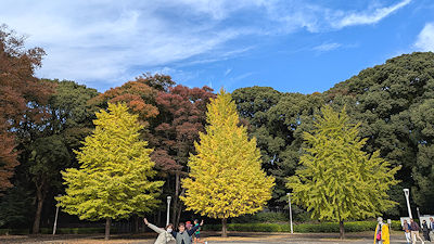 2025年11月12日(水)
