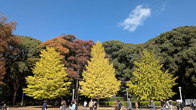 2025年11月15日(土)