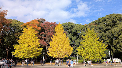 2025年11月16日(日)