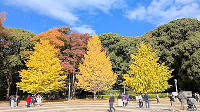 2025年11月19日(水)