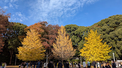 2025年11月24日(月)