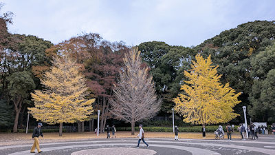 2025年11月27日(木)
