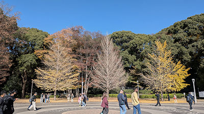 2025年11月30日(日)