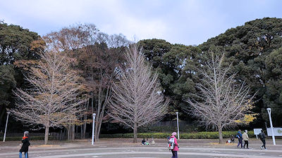 2025年12月6日(土)