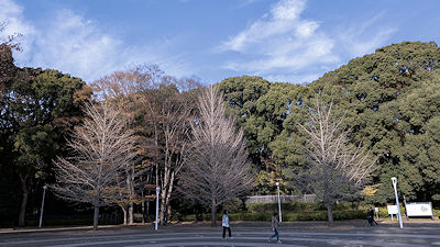 2025年12月8日(月)