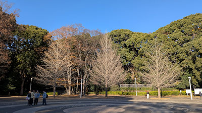 2025年12月11日(木)