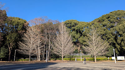 2025年12月18日(木)