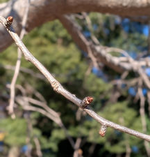 2025年12月18日(木)