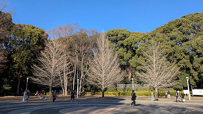 2026年1月4日(日)