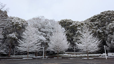 2026年2月8日(日)