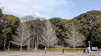 2026年2月16日(月)