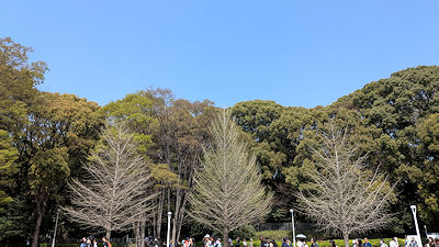 2026年3月29日(日)