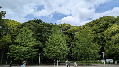 2026年4月25日(土)