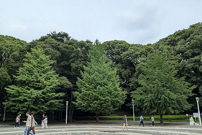 2026年7月4日(土)