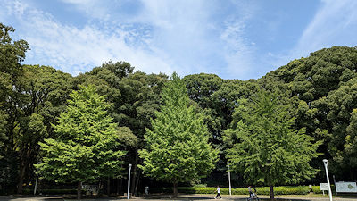 2026年8月20日(木)