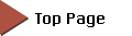 TOP PAGE��