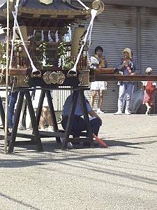 ����ꂳ��