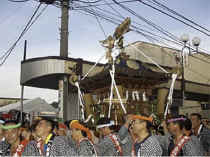 �����l�c�p��