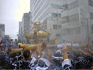 ������ł�